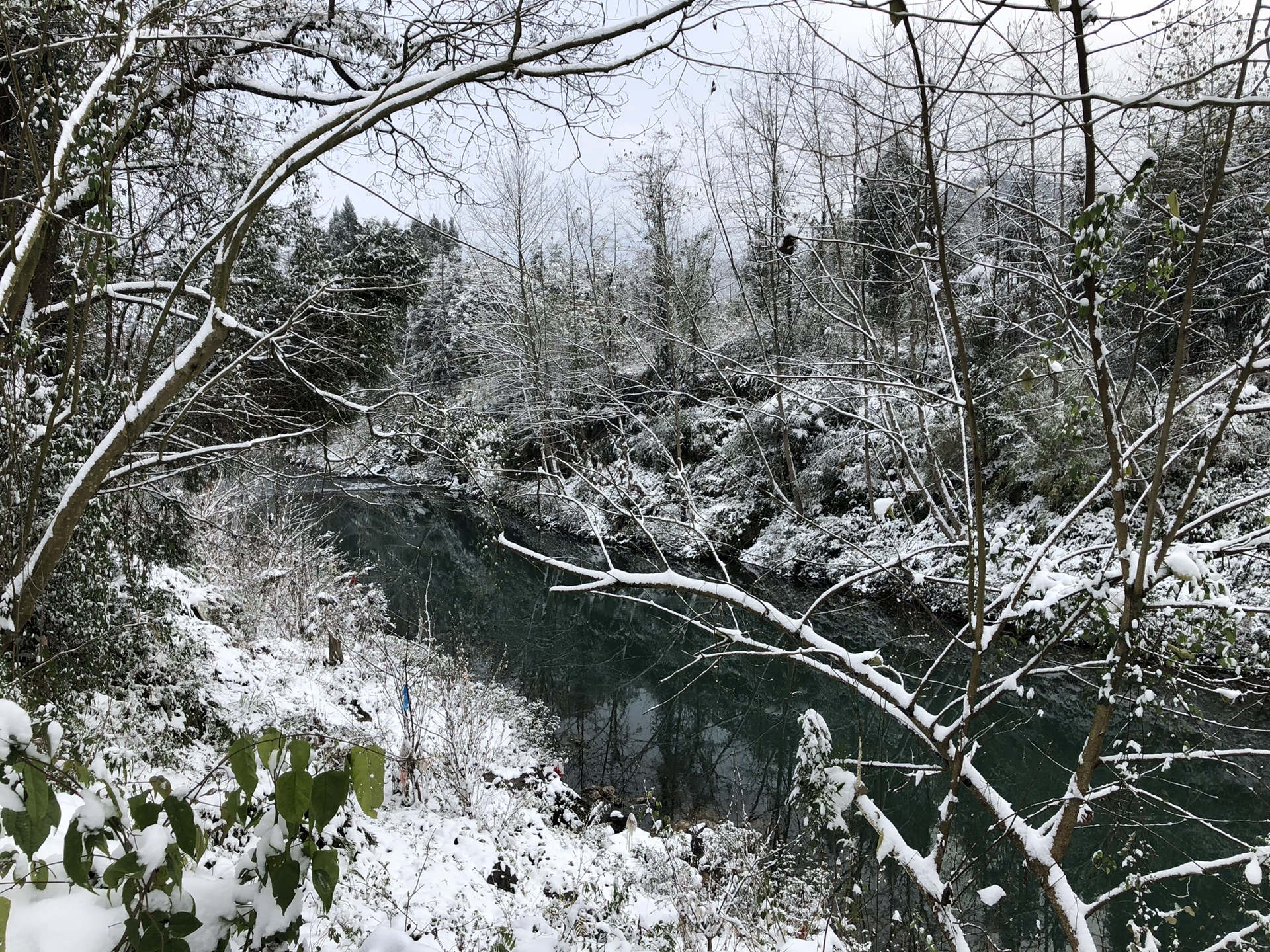 大雪纷飞曲谱_大雪纷飞