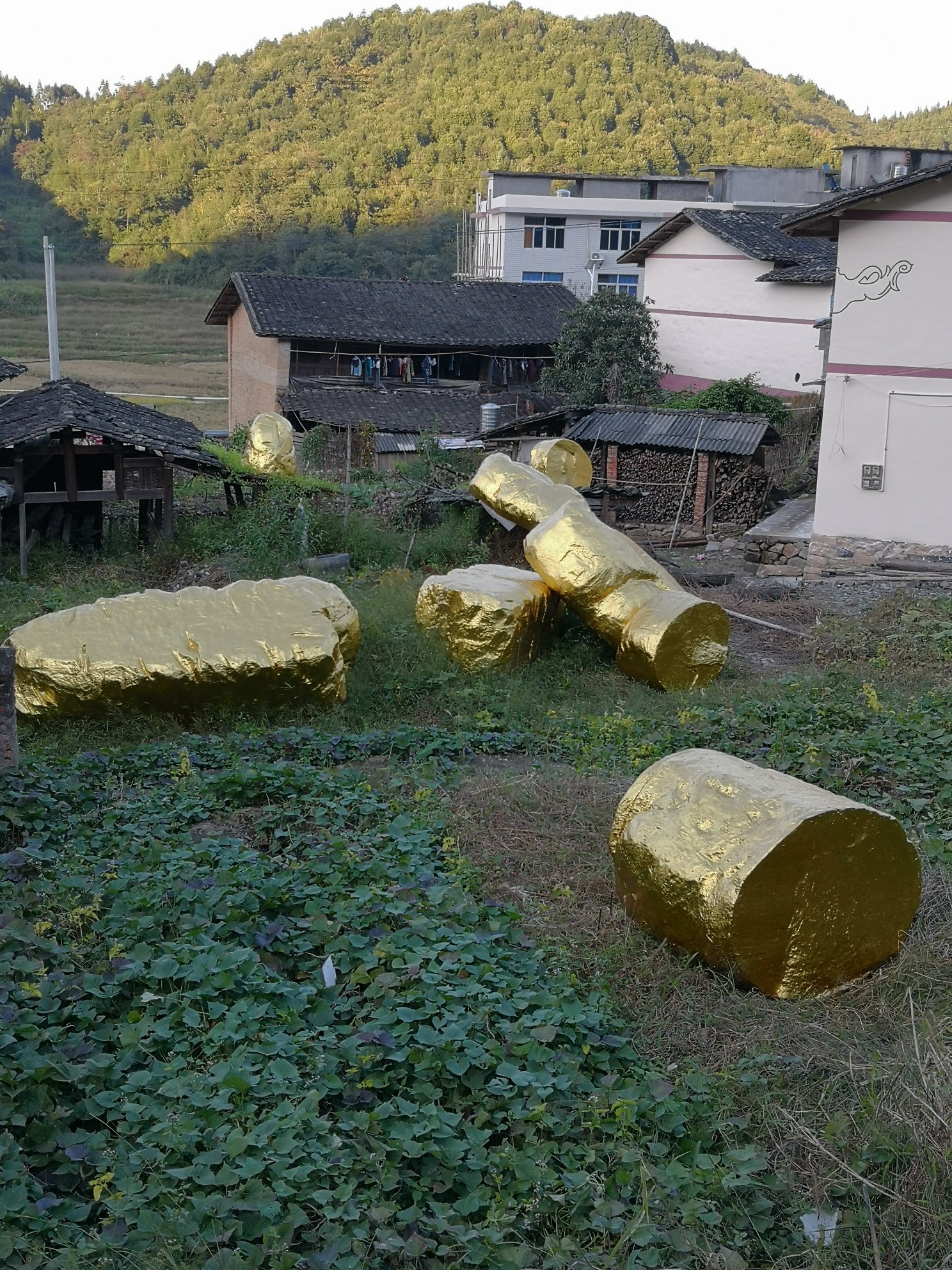 南平地区有多少人口_南平各县人口排名图片(3)