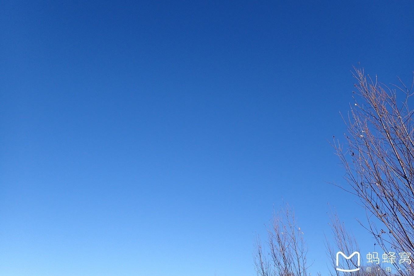 wKgED1wkjcaAKf0_AALOasbRMQ888.jpeg?imageView2%2F2%2Fw%2F600%2Fh%2F600%2Fq%2F90