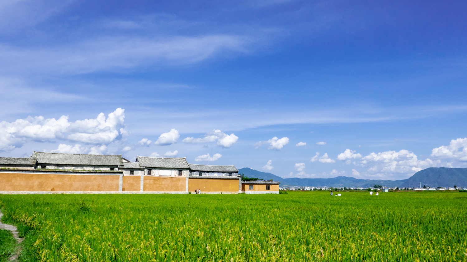 查看喜洲镇村落的图片