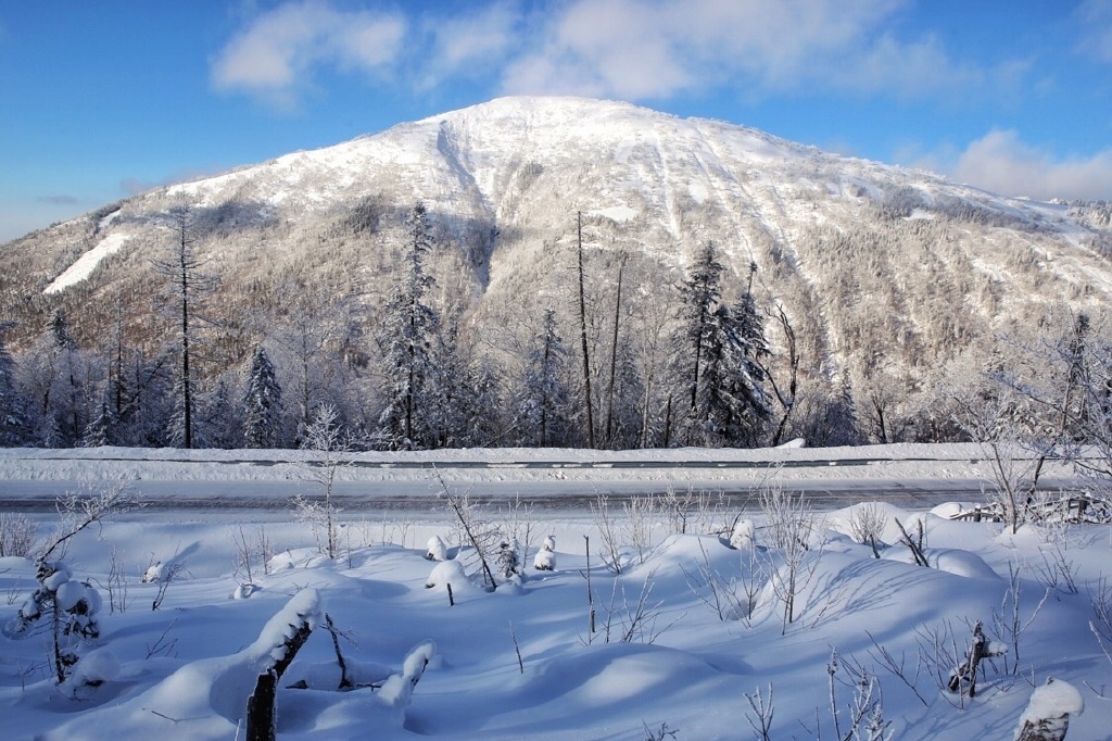 南京出发哈尔滨 亚布力滑雪 大秃顶子山穿越 雪乡 长白山 露水河狩猎