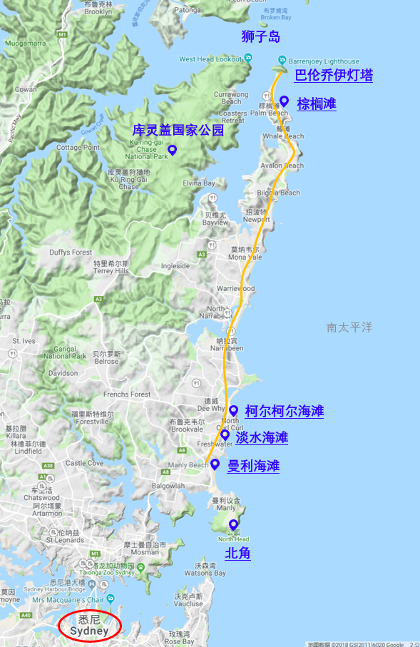 高端中文小团 悉尼北部海滩精品一日游(棕榈滩 库灵盖