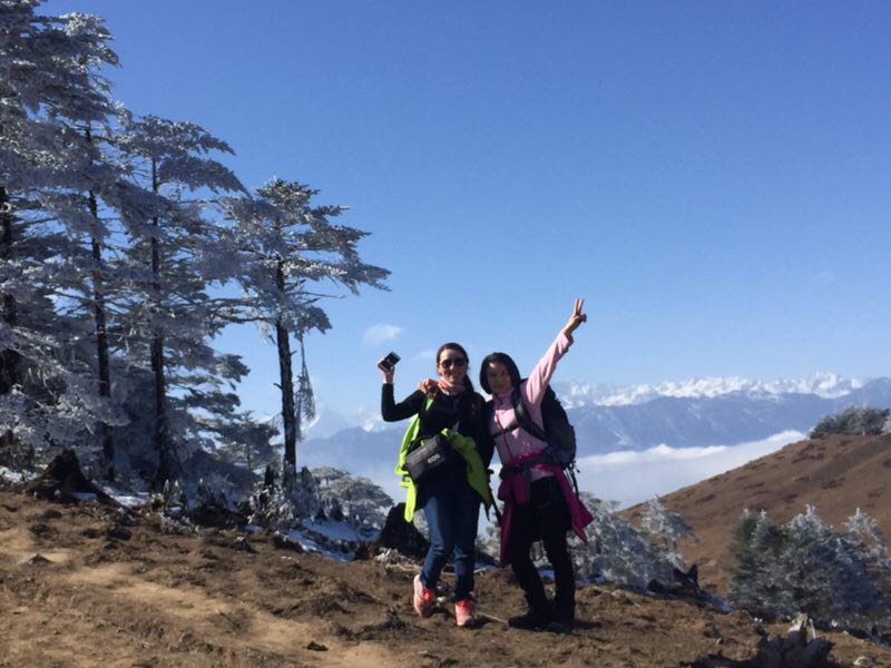 wKgED1wfXD2AO4VvAAGiEOwy0mc50.jpeg?imageView2%2F2%2Fw%2F600%2Fh%2F600%2Fq%2F90