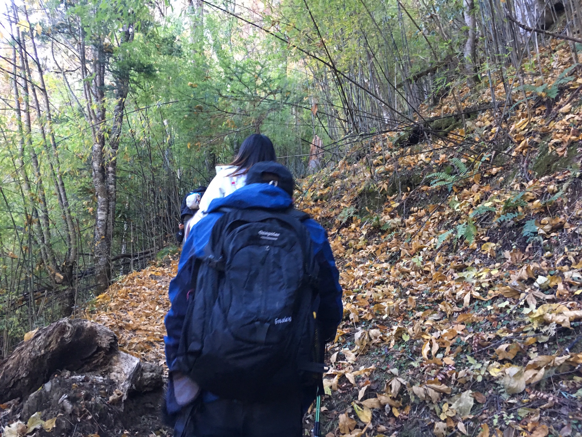 wKgED1vXIi-AEm2QABJx46YYm8g06.jpeg?imageView2%2F2%2Fw%2F600%2Fh%2F600%2Fq%2F90