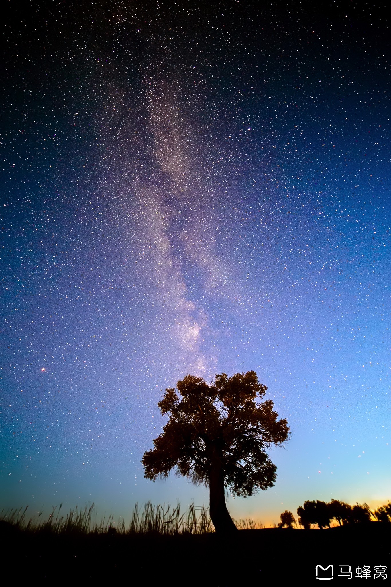 我用彻夜未眠,为你摄下星辰大海---额济纳的星空