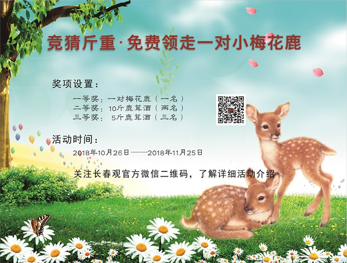 wKgED1vSv8aAffNCAAKUEPrtnt861.jpeg?imageView2%2F2%2Fw%2F600%2Fh%2F600%2Fq%2F90