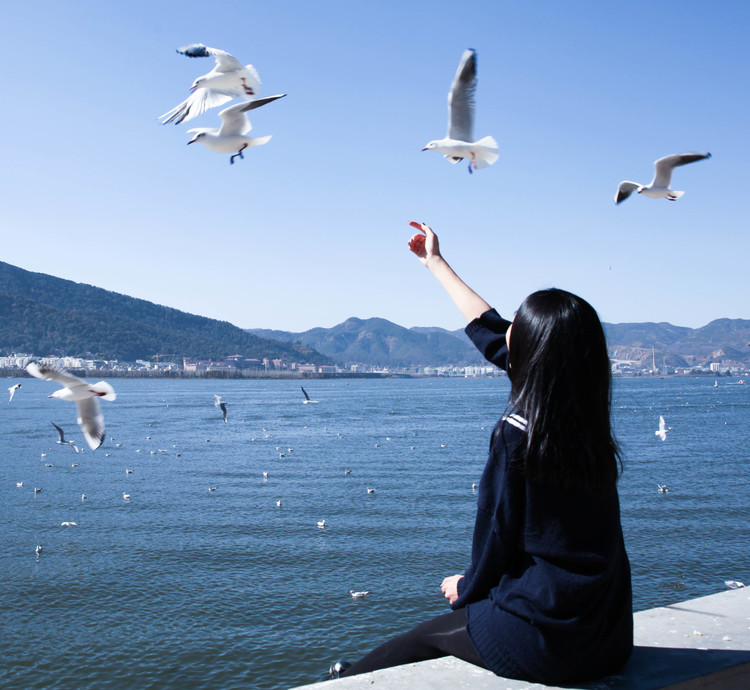 大连旅游攻略之(市内篇),大连市内旅游旅行攻略成都带孩子打卡攻略图片
