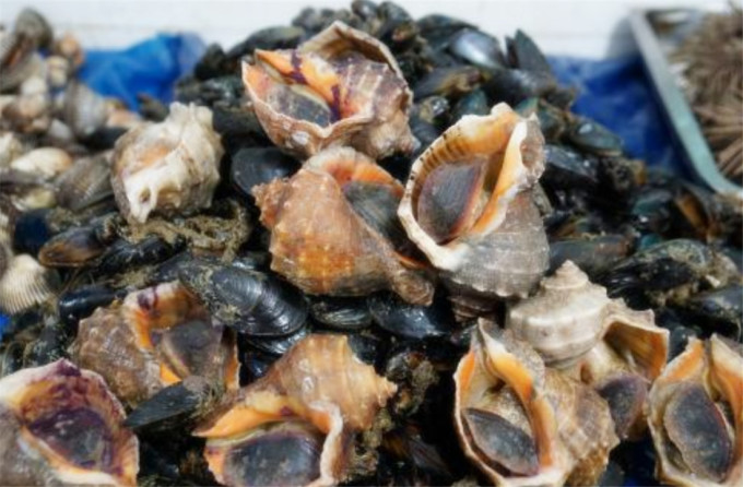 日照美食背景,日照本地人吃攻略?ppt海鲜分享美食可爱图片
