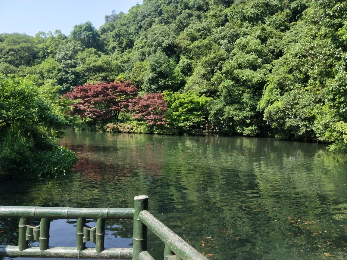 杭州西湖风景名胜区九溪烟树