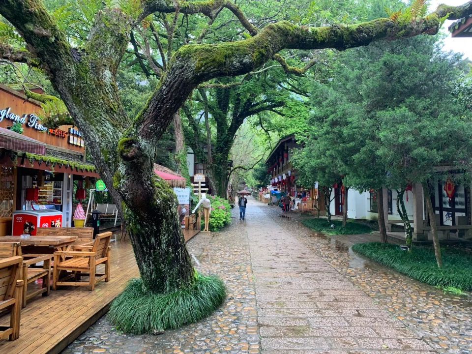 武夷宫景区是武夷山国家风景名胜区的核心部分,又称"武夷宫",景区