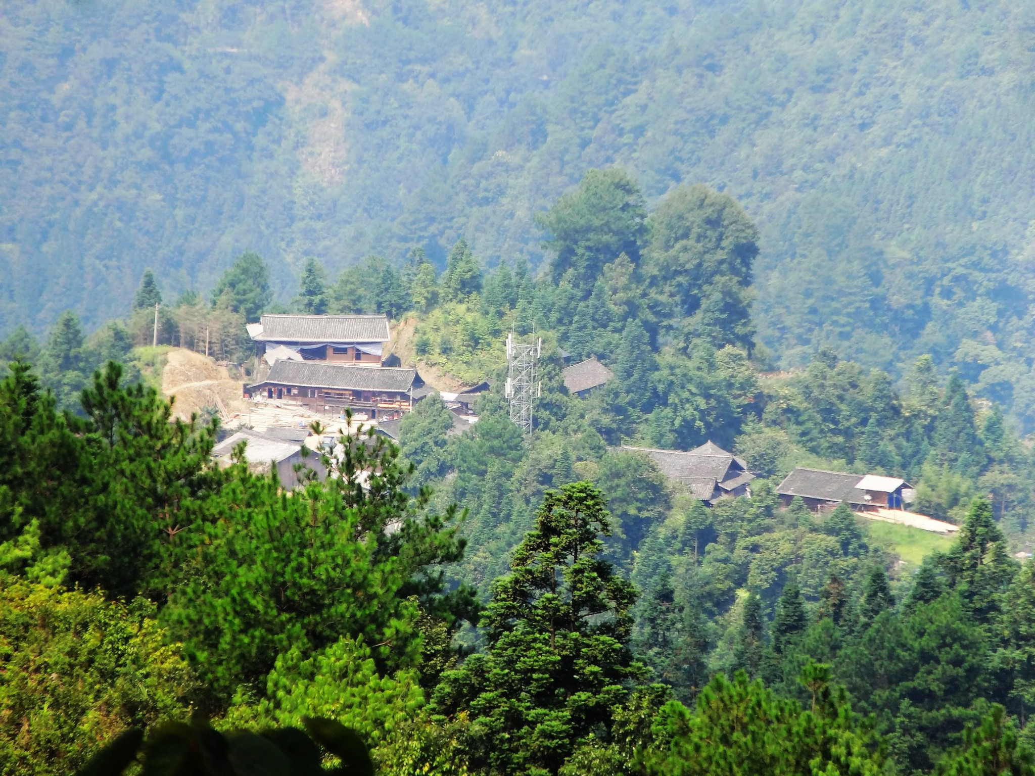 雅王村人口_雅王村六华坡(3)