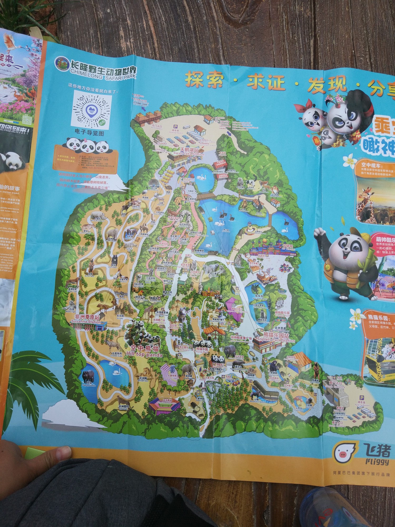 广州长隆野生动物园