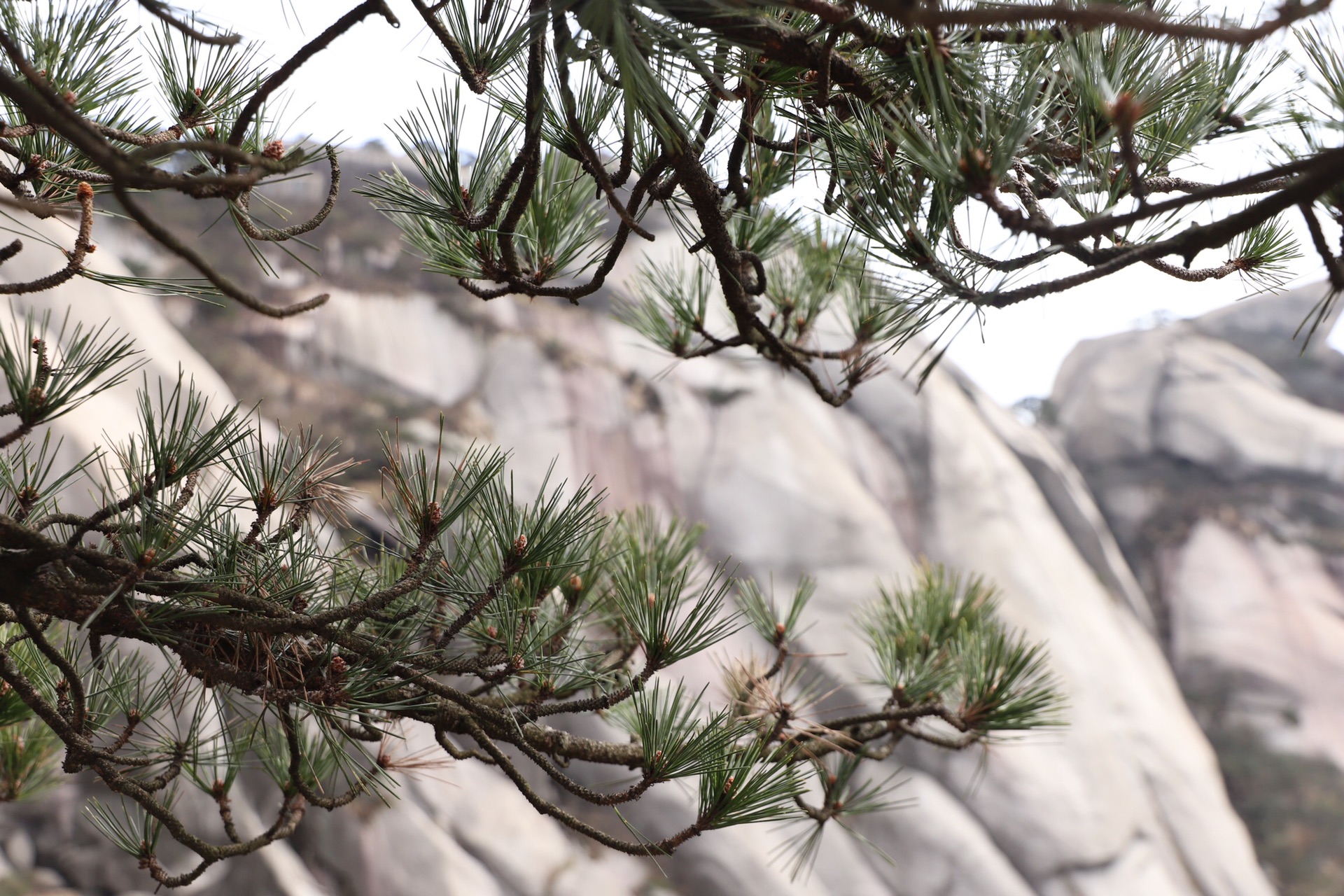 wKgEaVyPReqACcAeAAtUasPzvXI63.jpeg?imageView2%2F2%2Fw%2F600%2Fh%2F600%2Fq%2F90