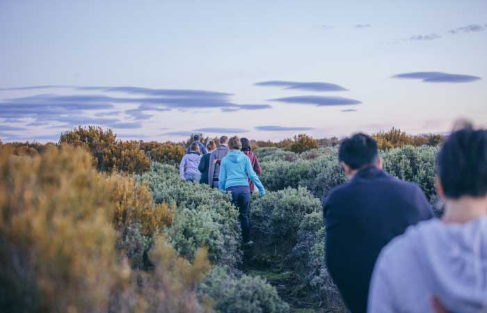 摇篮山(cradle mountain) 是塔斯马尼亚世界文化遗迹自然保护区之一