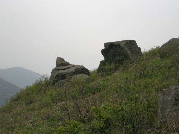 东白山游玩攻略,东白山游玩攻略一日游