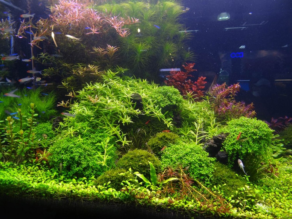 wKgBpU6iGN-uOymSAARxnrO3yY861.jpeg?imageView2%2F2%2Fw%2F600%2Fq%2F90%7CimageMogr2%2Fstrip%2Fquality%2F90