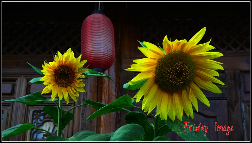 wKgBpU4dHOijGRKcAAQYu54BVh032.jpeg?imageView2%2F2%2Fw%2F600%2Fq%2F90%7CimageMogr2%2Fstrip%2Fquality%2F90