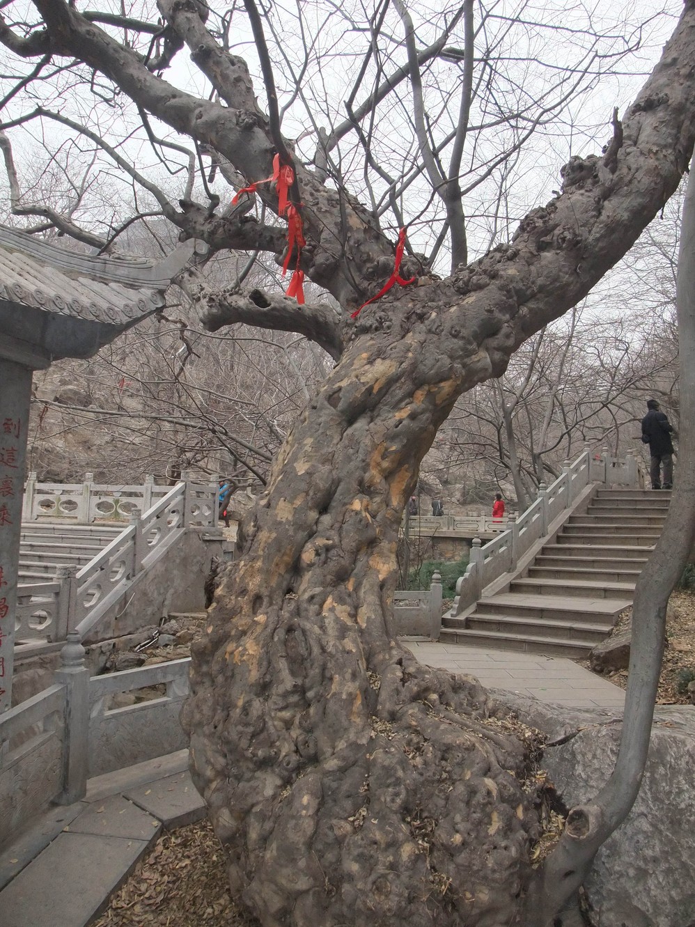 岁末拾遗枣庄青檀寺