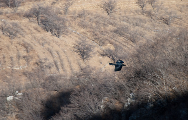 wKgBpU4uNI25BLVHAAFgQui854s86.jpeg?imageView2%2F2%2Fw%2F600%2Fh%2F600%2Fq%2F90