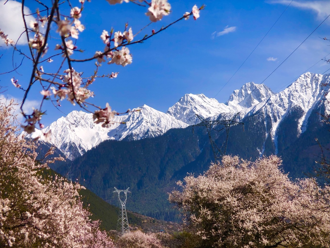 林芝市有多少人口_林芝市地图