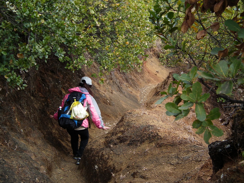 wKgBt09i0QzxbekGAAU9SvGdbzs12.jpeg?imageView2%2F2%2Fw%2F600%2Fq%2F90%7CimageMogr2%2Fstrip%2Fquality%2F90