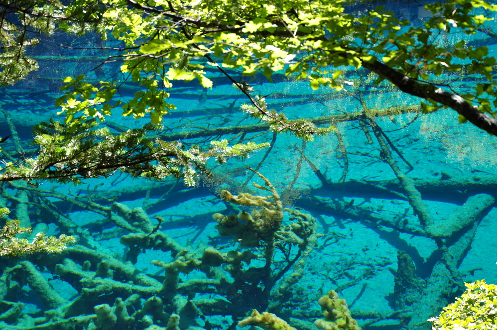 鱼虎云一猜一成语大全_一图一成语猜答案大全(3)