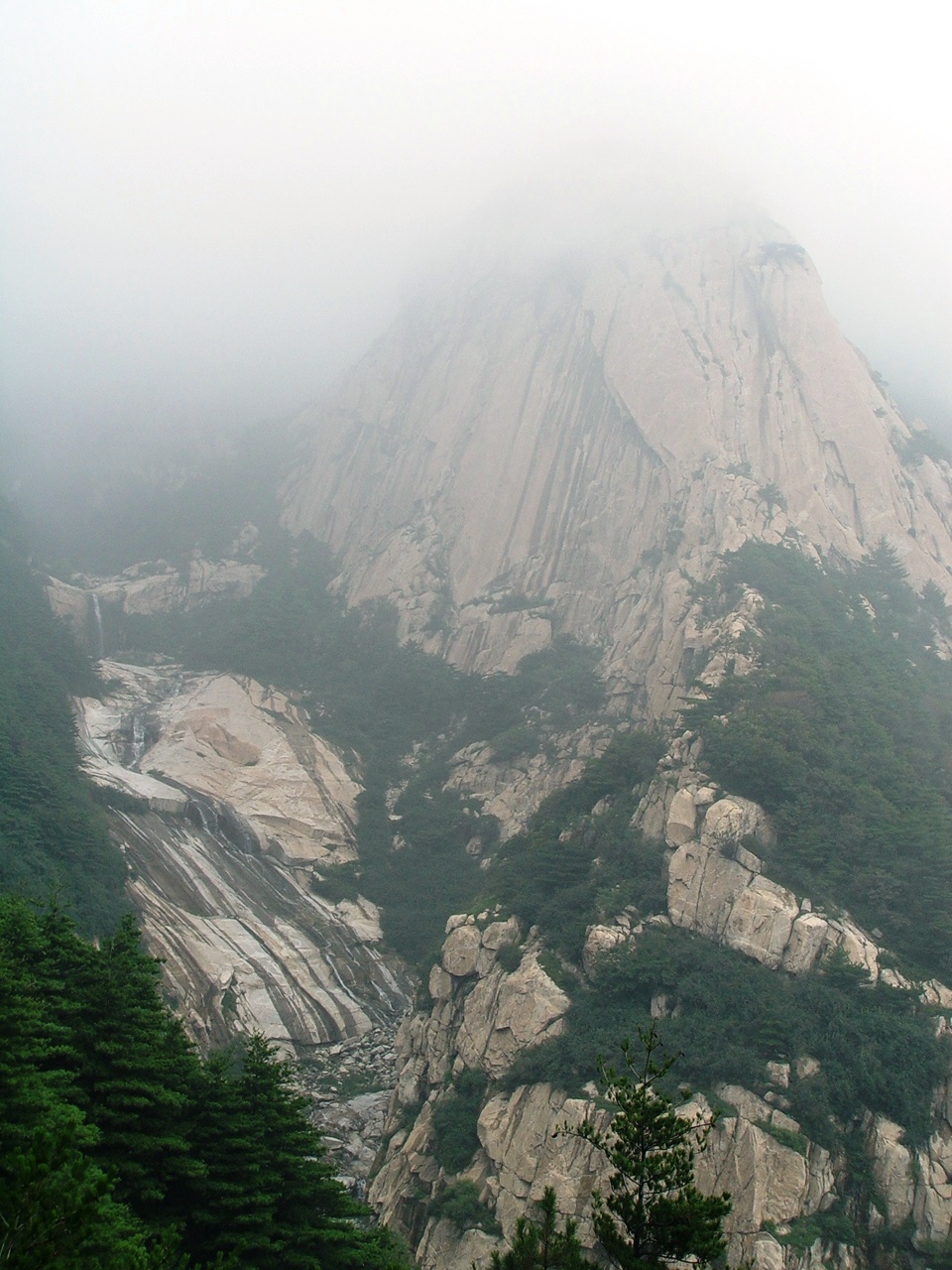 wKgByU-yaTuTgKaRAAcGkIl-hAk79.jpeg?imageView2%2F2%2Fw%2F600%2Fh%2F600%2Fq%2F90