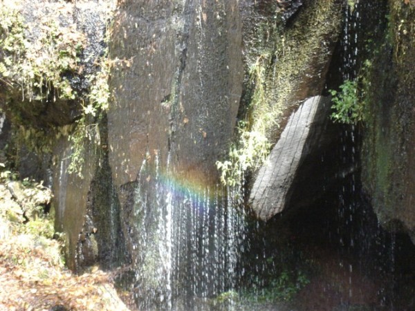 水沟游玩攻略,水沟游玩攻略大全