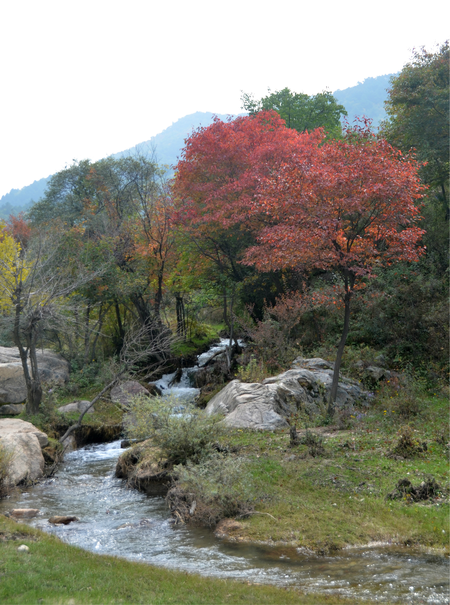 山西省旅游 山西旅游攻略 醉美石马沟  石马沟,位于山西省隰县下李乡.