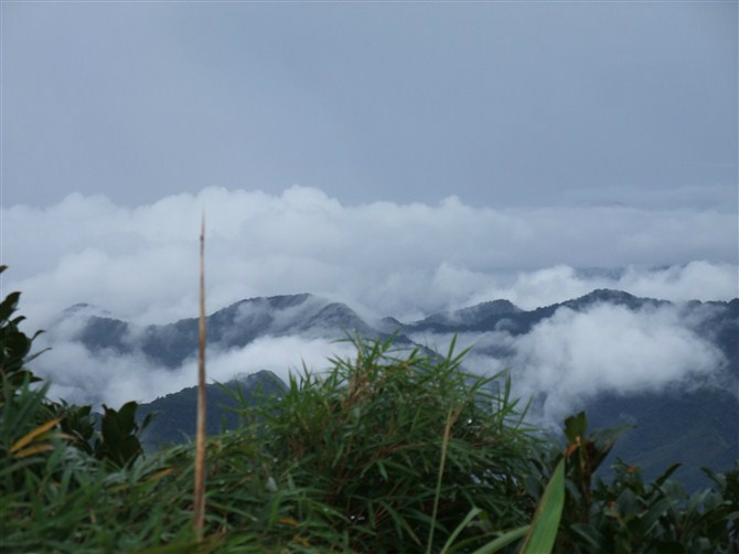 海南五指山市人口_五指山的人口(3)