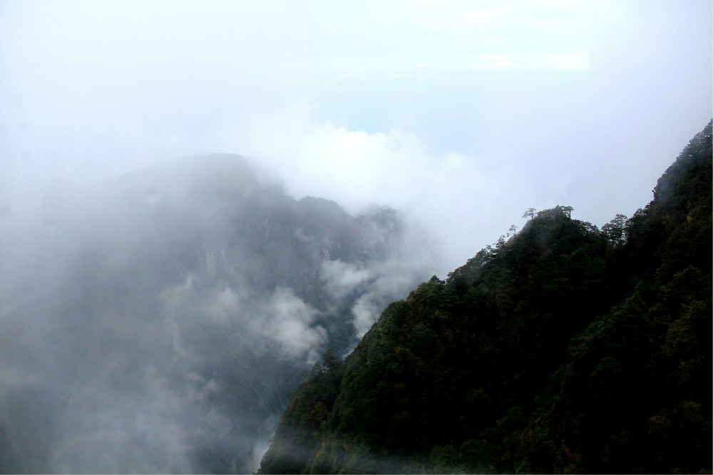 wKgB21Bu7xKNgs9HAAVAbOC5fl053.jpeg?imageView2%2F2%2Fw%2F600%2Fq%2F90%7CimageMogr2%2Fstrip%2Fquality%2F90