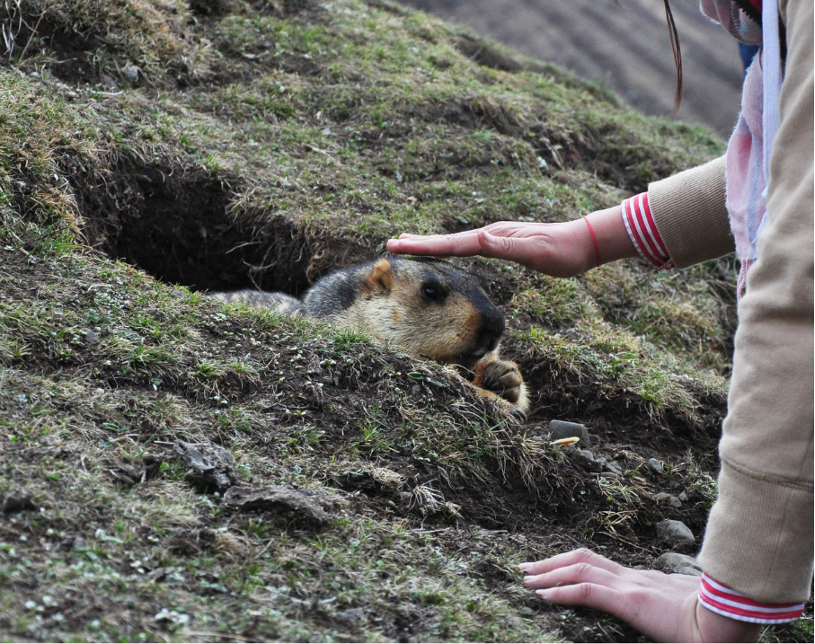 wKgB3FGB2aOANyRLAA6rc4IjW6Q64.jpeg?imageView2%2F2%2Fw%2F600%2Fh%2F600%2Fq%2F90