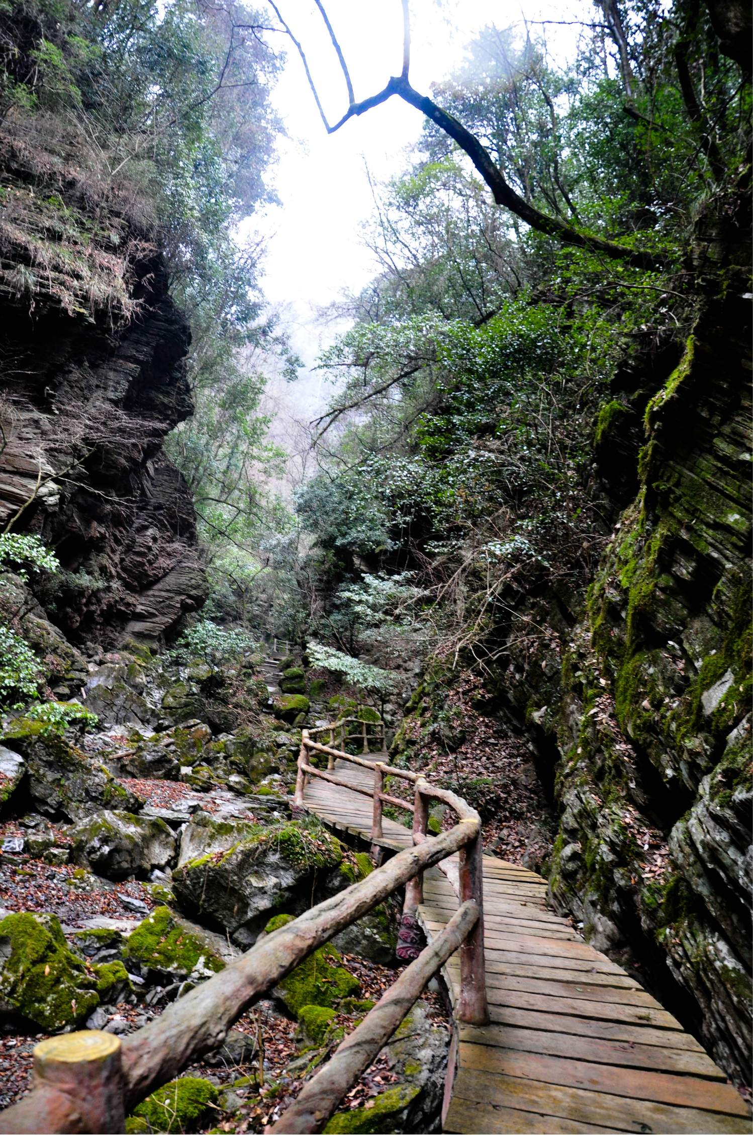 四川省旅游 旺苍旅游攻略 春节,旺苍七里峡