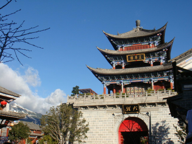人口金塔图_金塔胡杨林图片(2)
