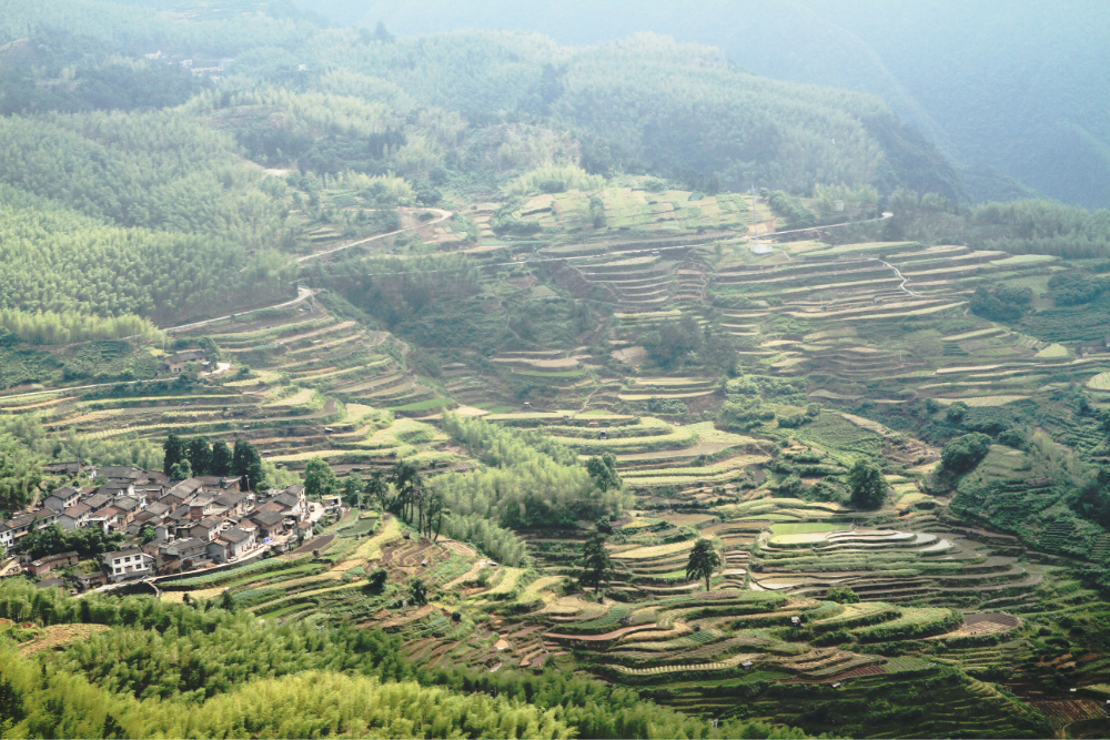 浙江松阳梯田图片41,金华旅游景点,风景名胜 - 马蜂窝图库 - 马蜂窝