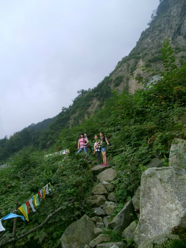 wKgB3FIArdOAd5jLAAXbmbMSzYU33.jpeg?imageView2%2F2%2Fw%2F600%2Fh%2F600%2Fq%2F90