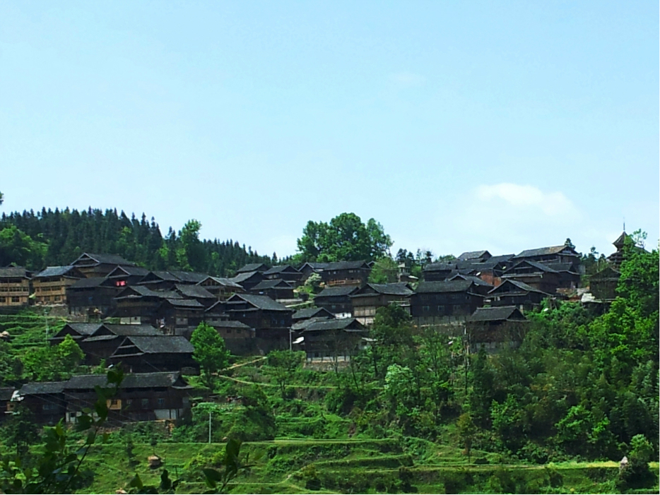 洛香多少人口_博社村人口多少