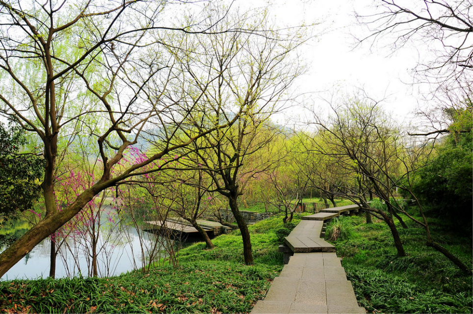 【图片】春日寻芳——杭州太子湾,乌龟潭和浴鹄湾景区