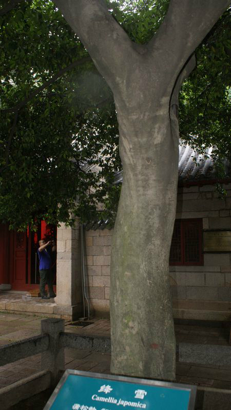 名什么什么迹的成语_成语故事简笔画(3)