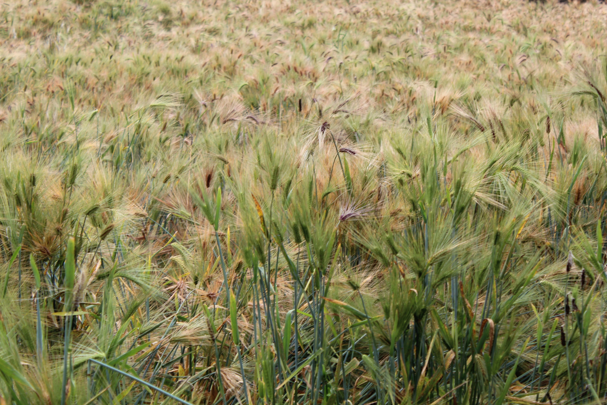 wKgB3FCb1a-AGrIdAA6CyaPDsX421.jpeg?imageView2%2F2%2Fw%2F600%2Fh%2F600%2Fq%2F90