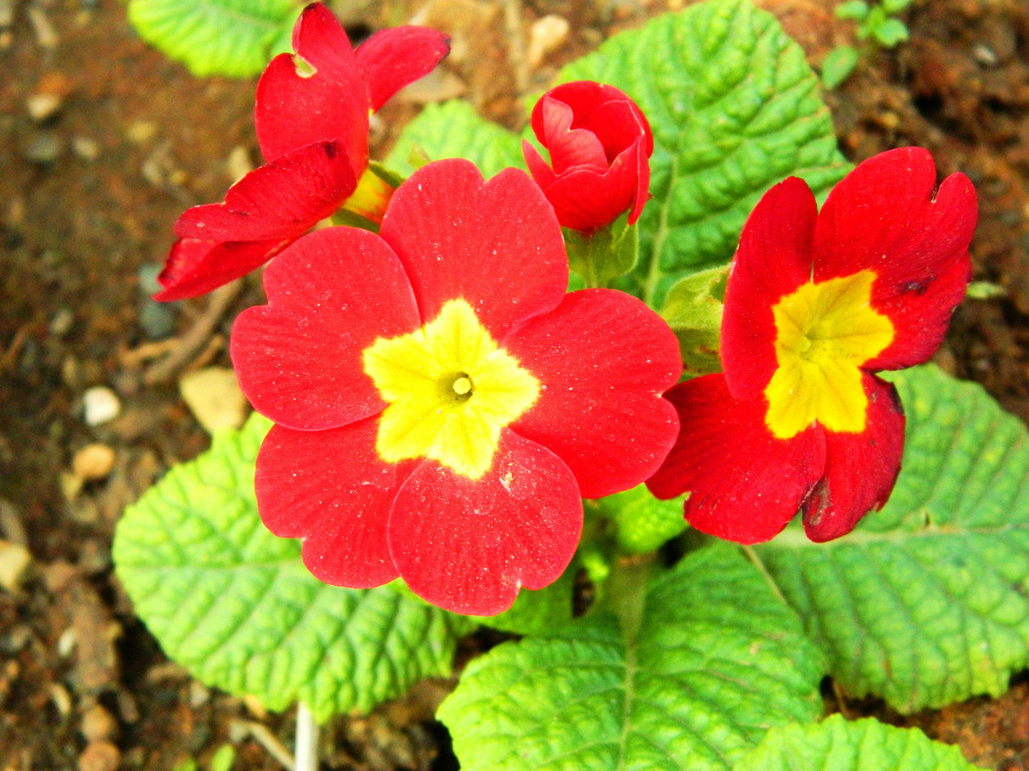 wKgB3FEwzIiAMD0HACNqNdWbowA73.jpeg?imageView2%2F2%2Fw%2F600%2Fq%2F90%7CimageMogr2%2Fstrip%2Fquality%2F90