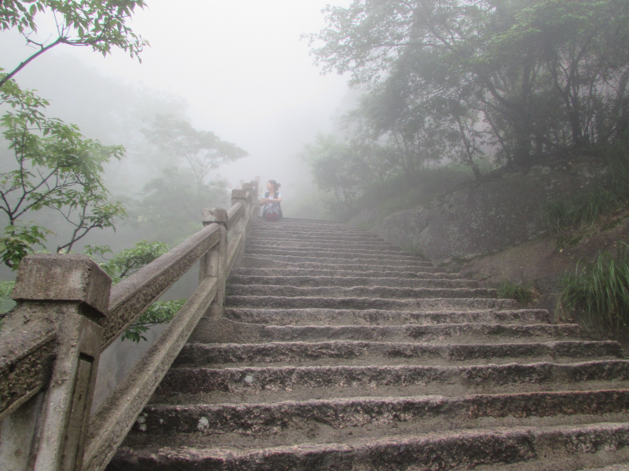 冻丁进人口_人口普查(3)