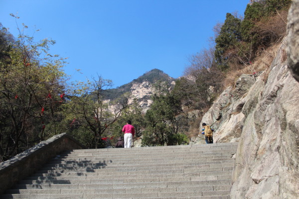 什么季节去泰山最好 wKgB4lKAyLqAcNSbAA5z8t8dw4U58.jpeg?imageView2%2F2%2Fw%2F600%2Fh%2F600%2Fq%2F90