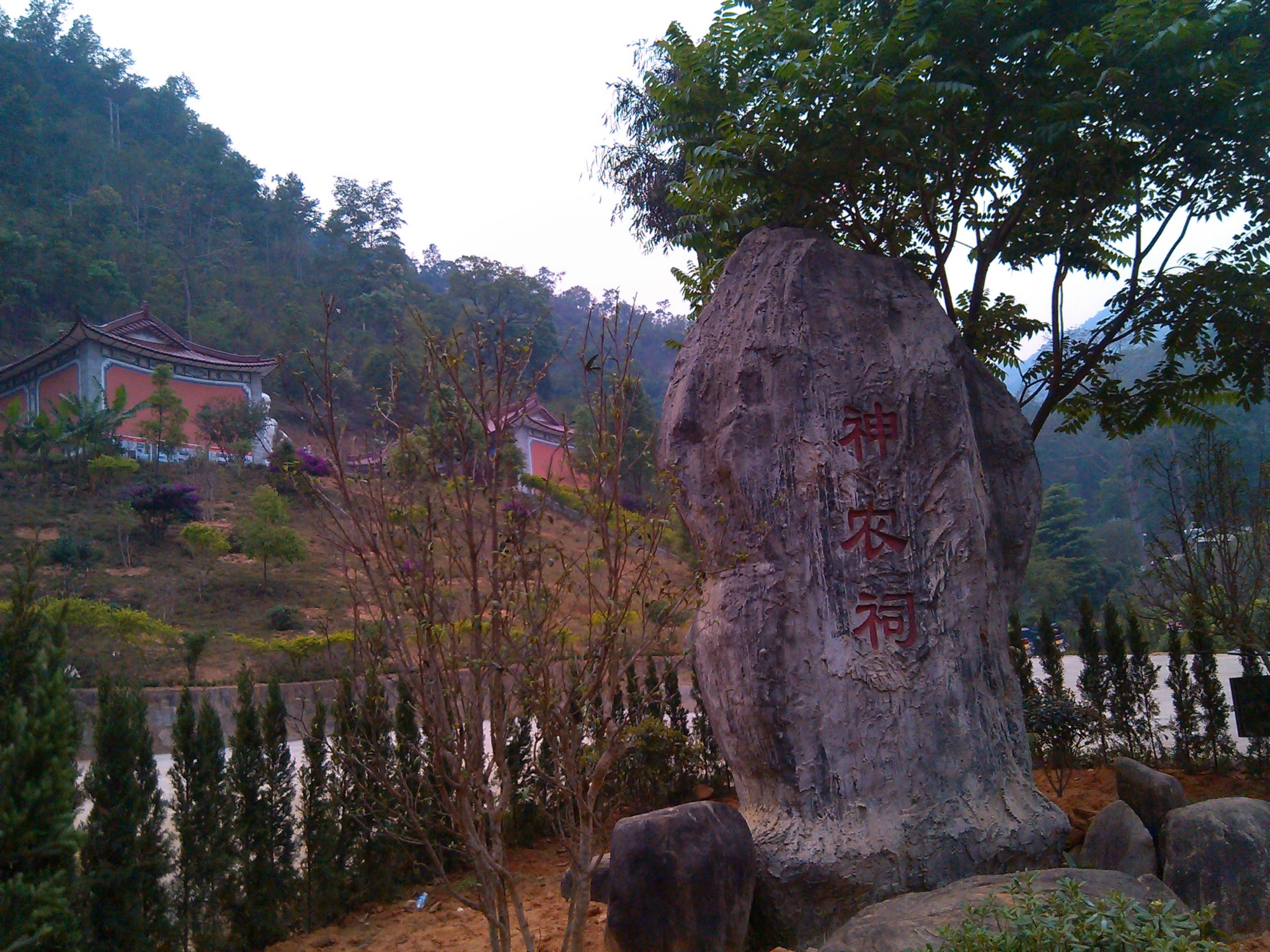 普洱有多少人口_普洱有哪些好玩的地方(3)