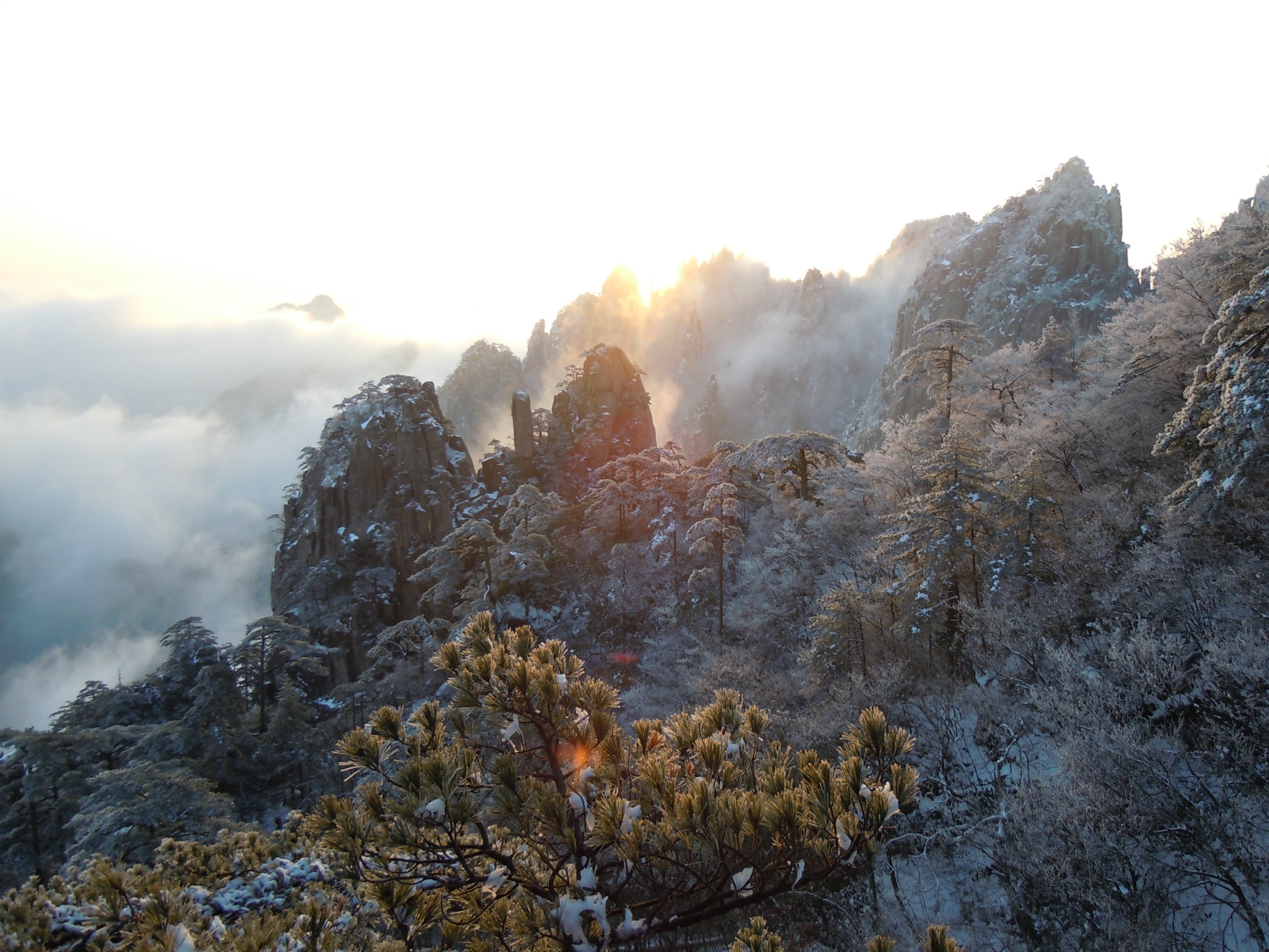 霞拔多少人口_博社村人口多少(2)