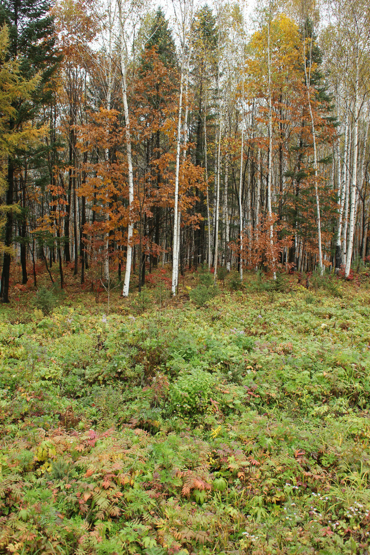 wKgB4lK3_2aAV4_FAAnsbj-2dyg16.jpeg?imageView2%2F2%2Fw%2F600%2Fh%2F600%2Fq%2F90
