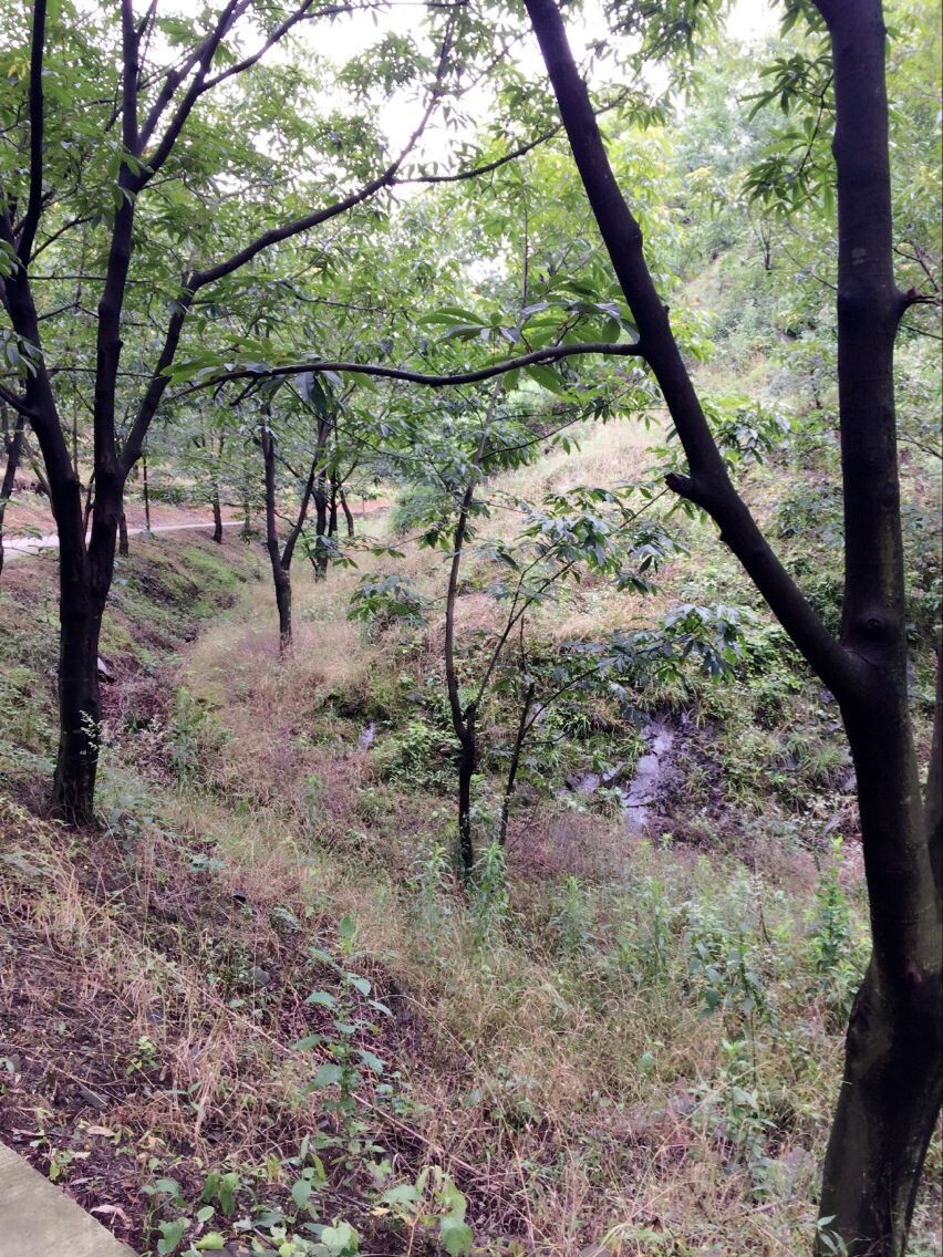 世外桃源、淳朴农家--宣城宁国飞峡谷探秘游记