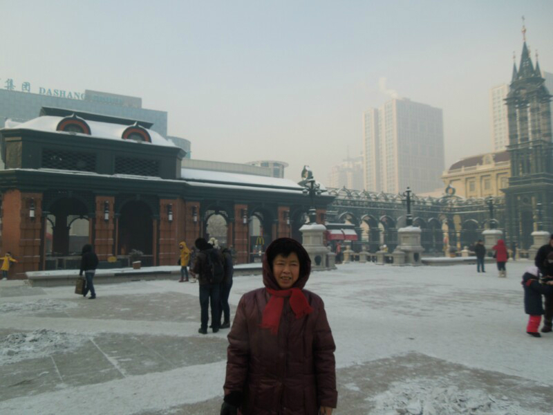 哈尔滨市内人口有多少_哈尔滨市内地图(3)