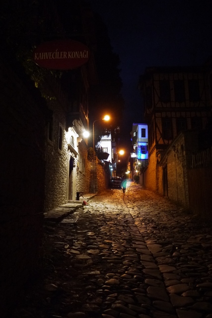 晚上的小巷子,安静,虽然没有人但是不会有什么害怕的感觉,这还真是个