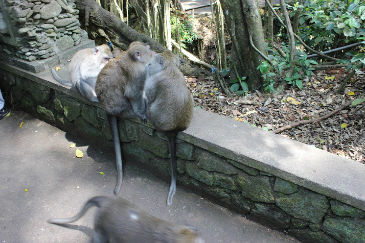 wKgB4lI7IZ-AXmY8AAar1NZFCz487.jpeg?imageView2%2F2%2Fw%2F600%2Fh%2F600%2Fq%2F90